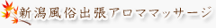 新潟人妻デリヘル・回春マッサージ