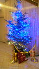 ����ł�(*^_^*)