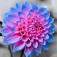 K�l��