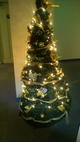 ����ł�(*^_^*)