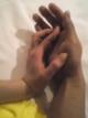 Dj. W�l