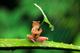 M�l��