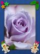 K�l��