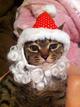 �o��p(^_^)q