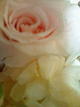 ���肪�Ƃ��������܂���