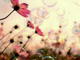 (�O�O)�m