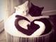 H�l��